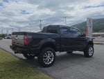 2014 Ford F-150 Platinum