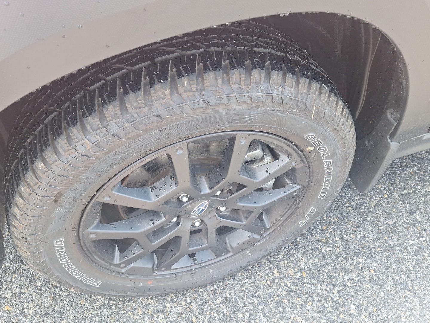2025 Subaru Crosstrek Wilderness